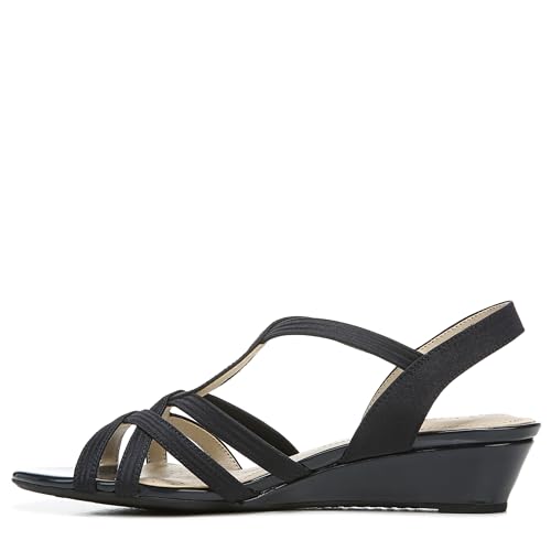 Navy Fabric
