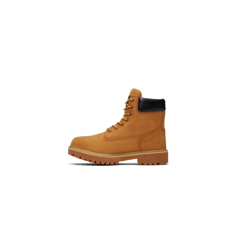 Wheat-2024 New