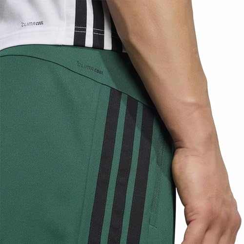 Collegiate Green/Black