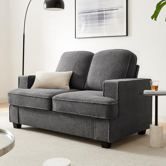 Couches for Living Room, 61” Cloud Couch in Soft Teddy Fleece, Removable Cover, Easy Assembly, Modern Sofa for Living Room/Bedroom/Office/Apartment, Dark-Gray