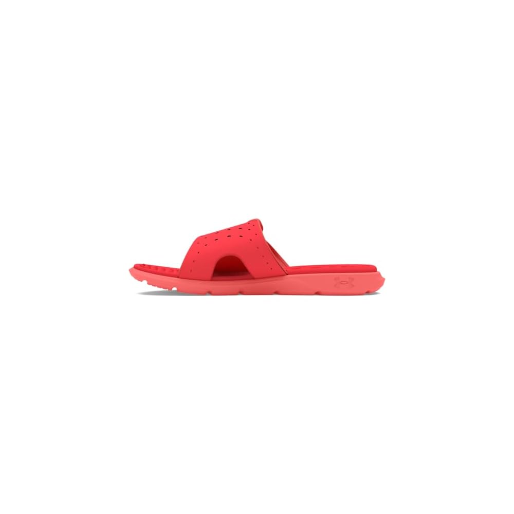 (603) Red Solstice/Coho/Coho