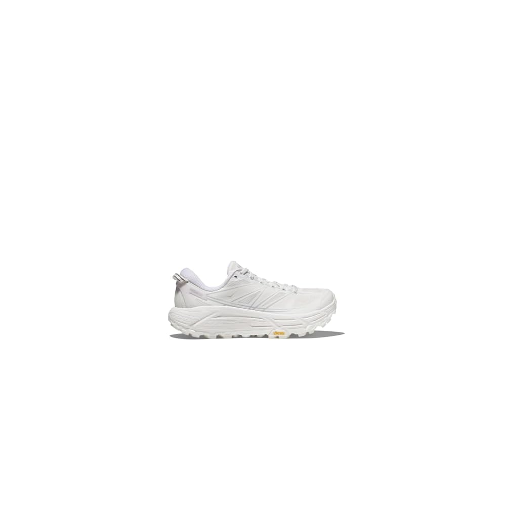 Lunar Rock
