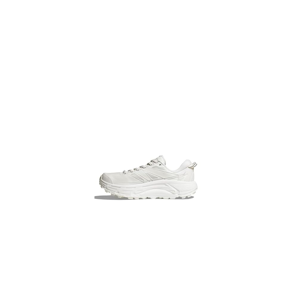 Lunar Rock
