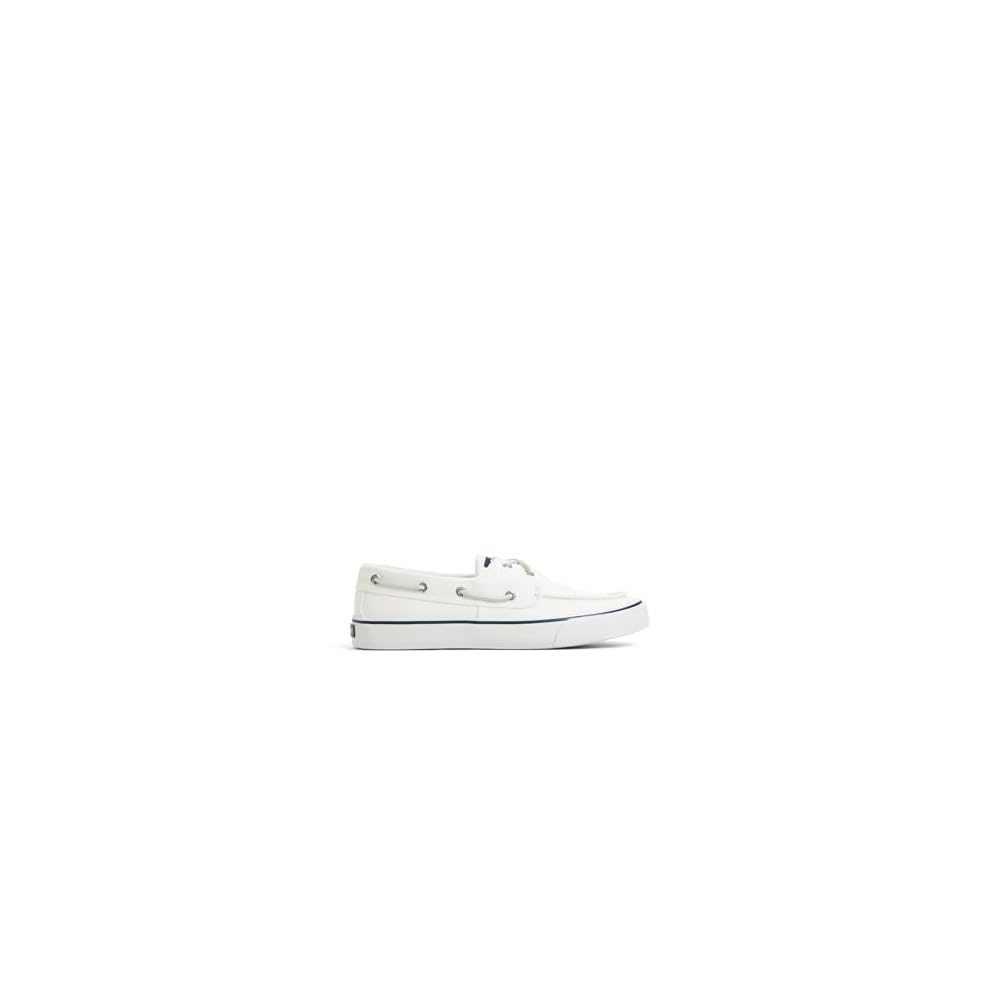 White Canvas