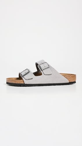 Whale Gray