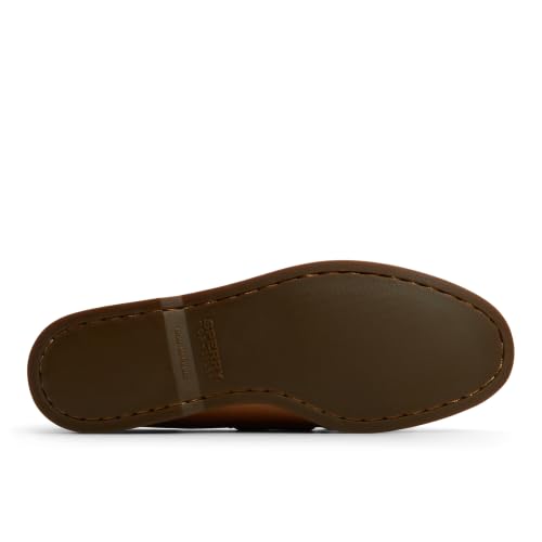 Sahara