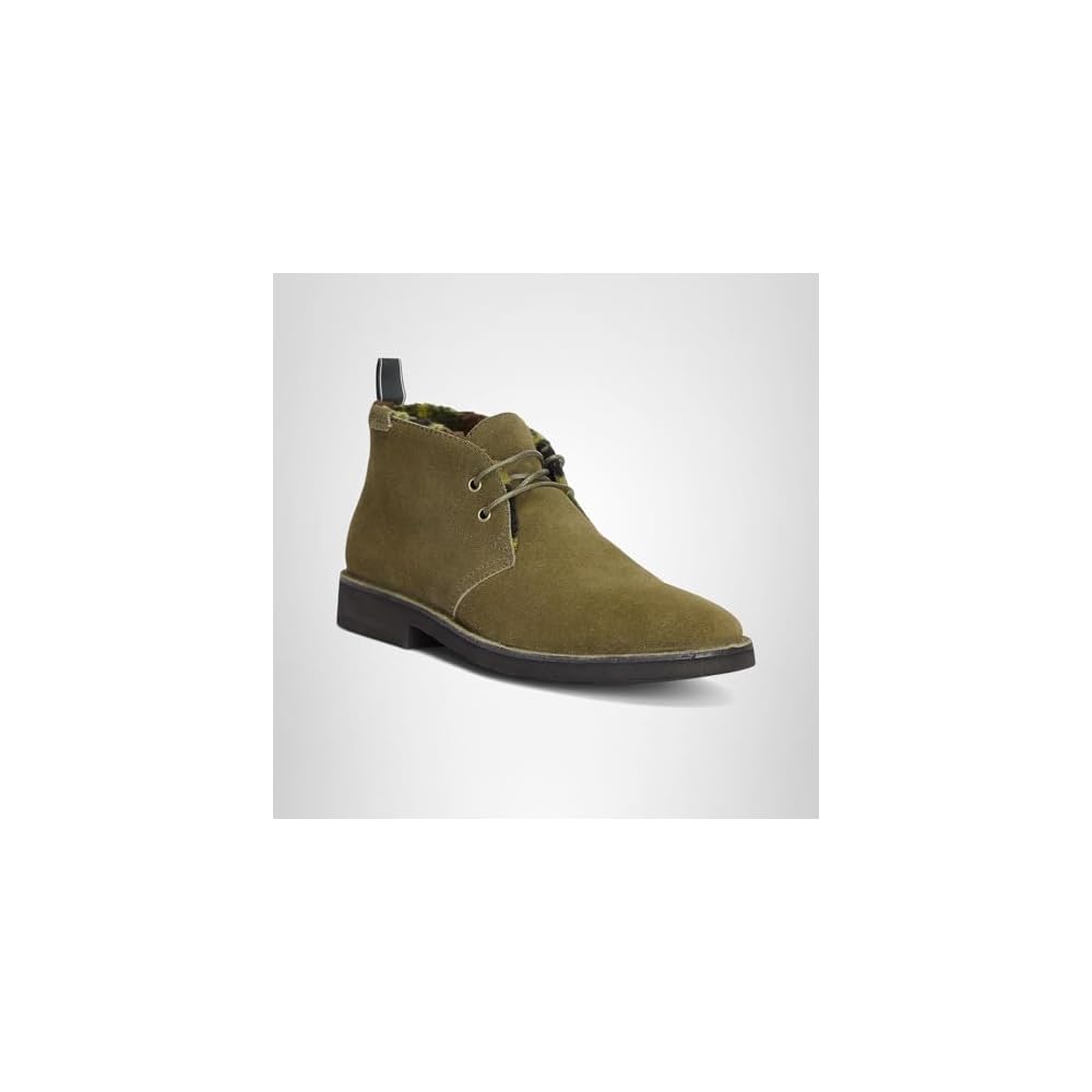 Canopy Olive