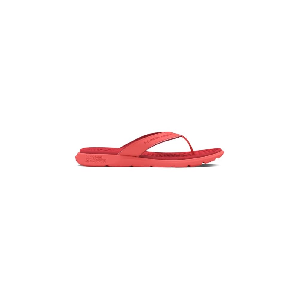(602) Coho/Coho/Red Solstice