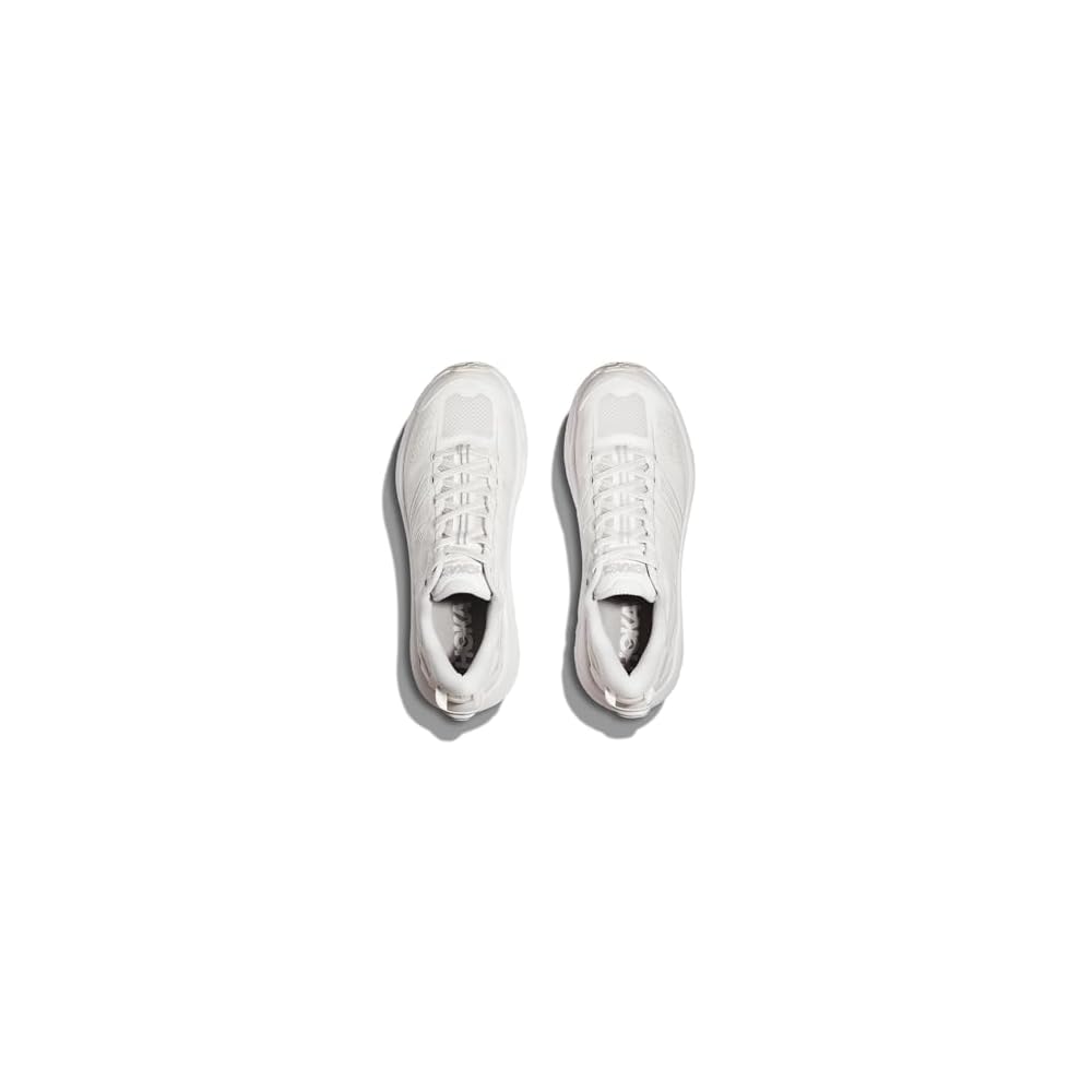 Lunar Rock