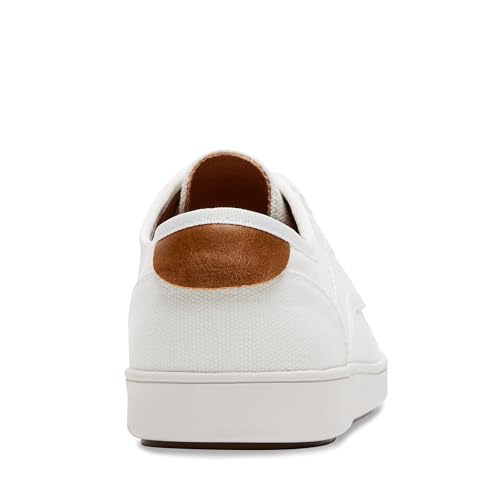 White Canvas