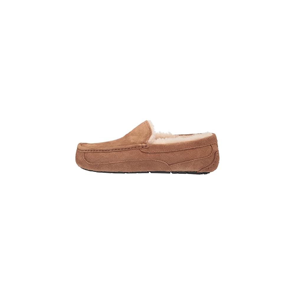 Chestnut