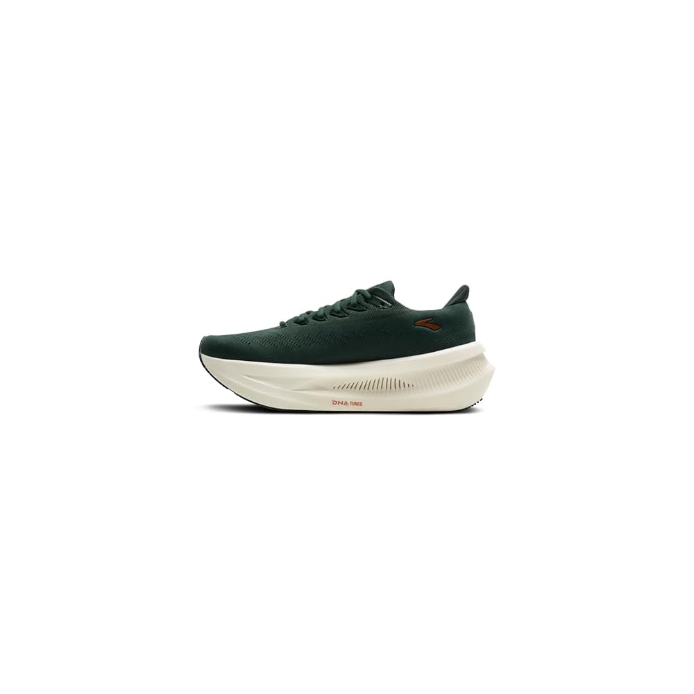 Dark Spruce/Bombay Brown/Clear