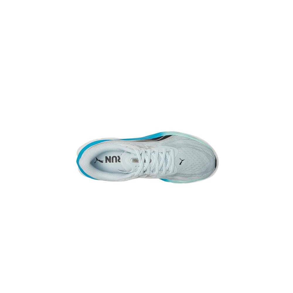 Sea Glass/Speed Blue