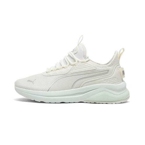 Vapor Gray-peaceful Blue-puma Silver