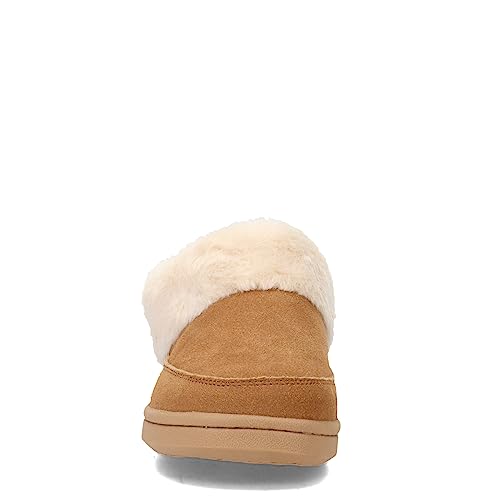 Cinnamon Suede