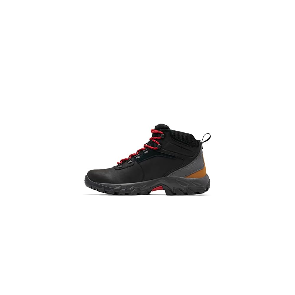 Black/Shark