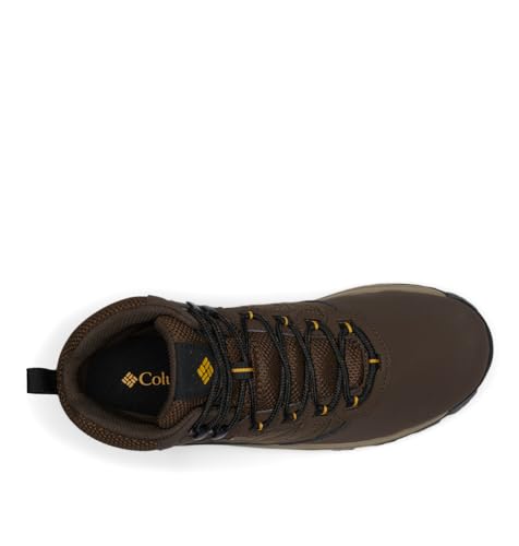 Cordovan/Golden Yellow
