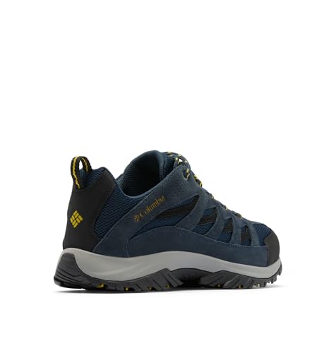 Collegiate Navy/Antique Moss