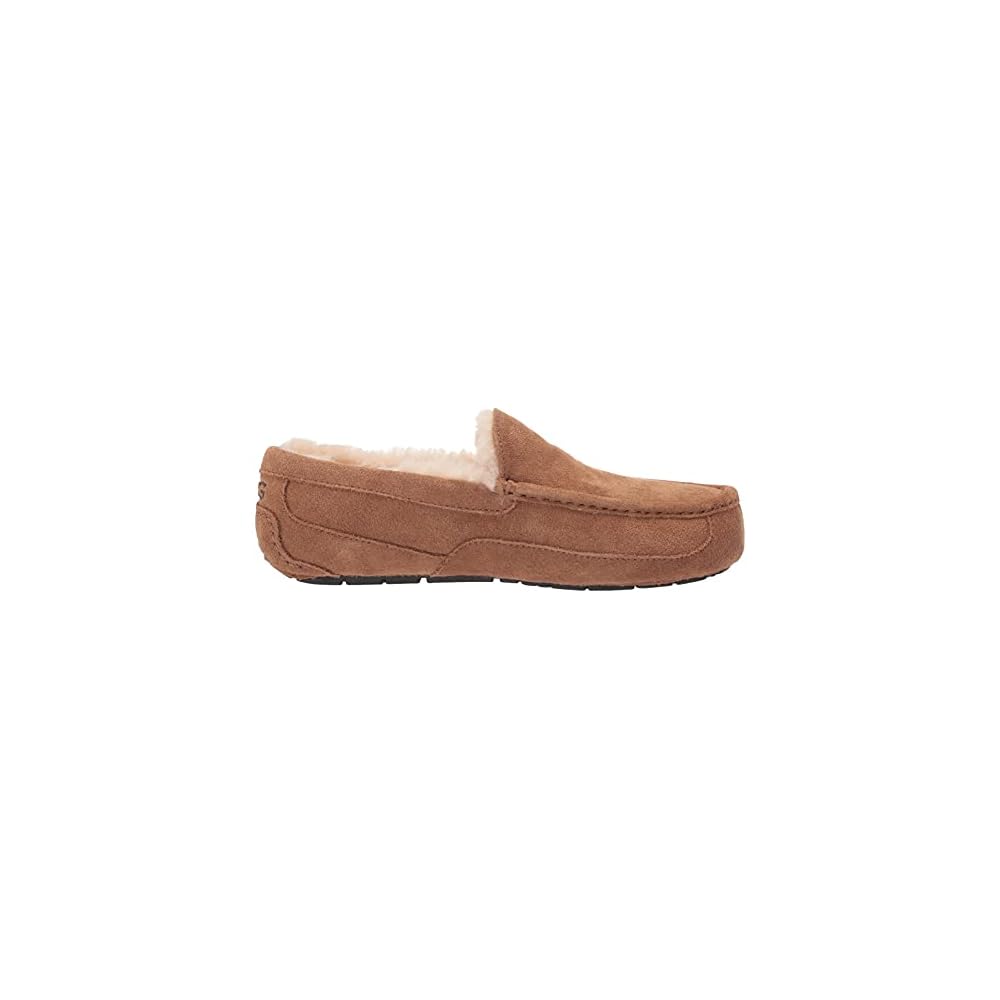 Chestnut