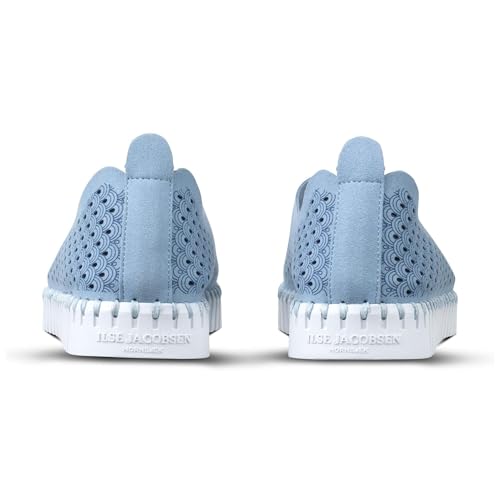 Cornflower/White