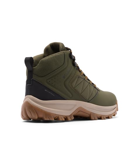 Nori/Desert Gold