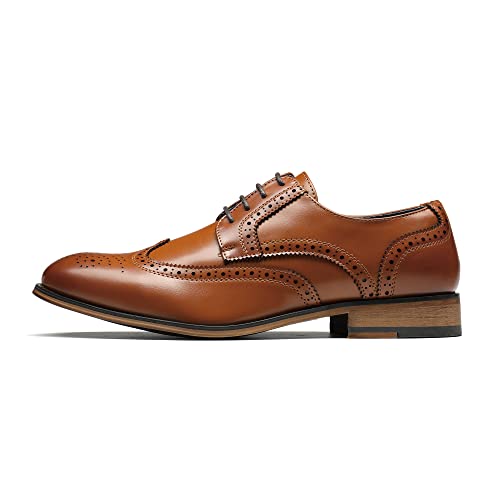Brown-wingtip