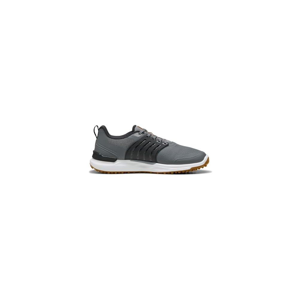 Slate Sky-puma Black-green Glare