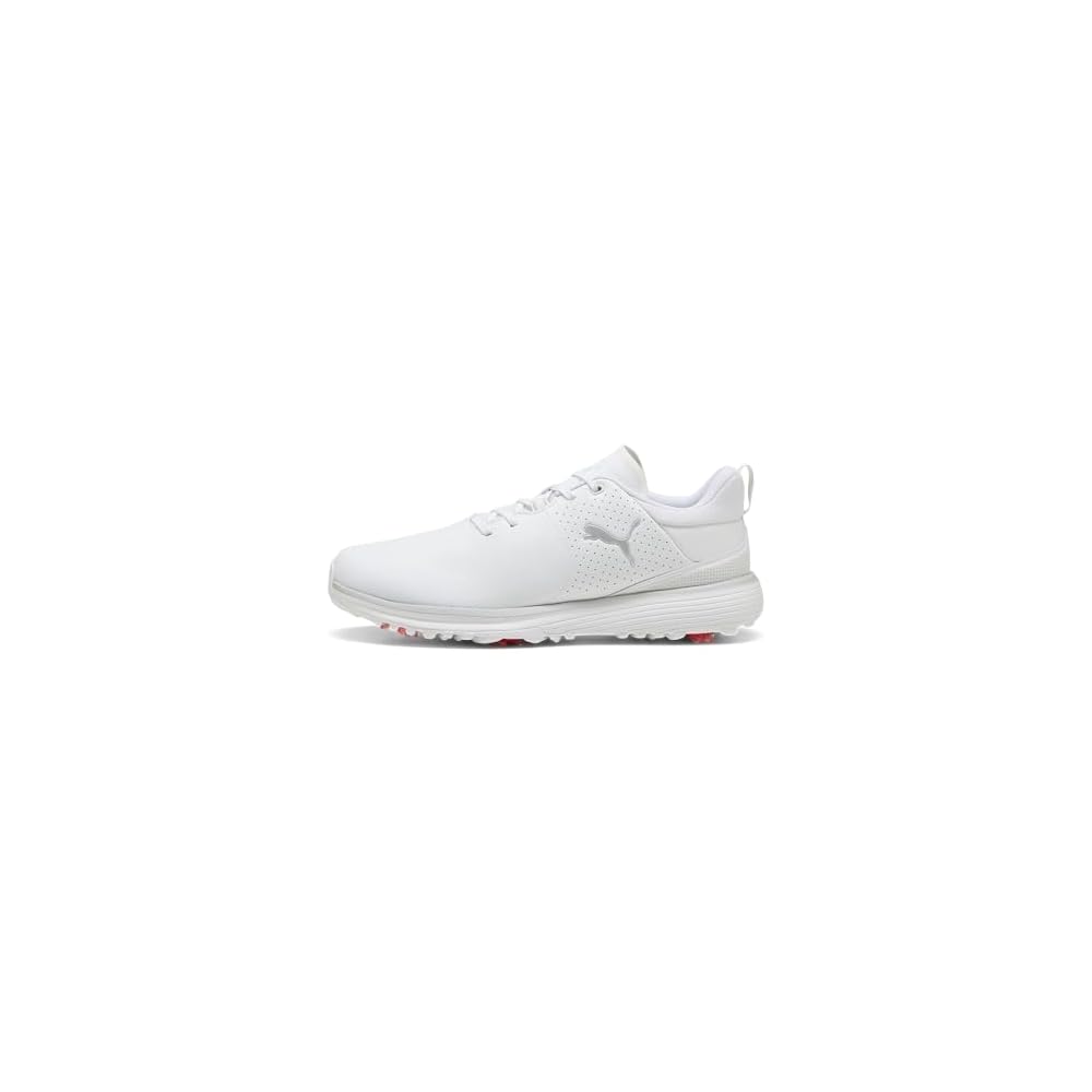 Puma White-puma Silver-ash Gray