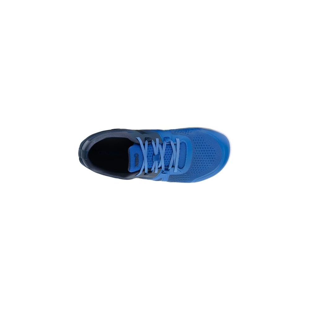 Blue Iolite