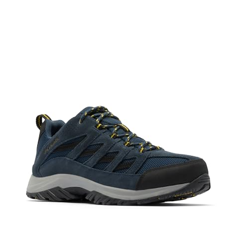 Collegiate Navy/Antique Moss