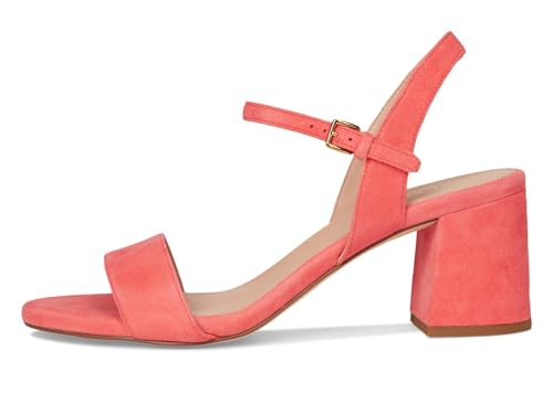 Dubarry Suede