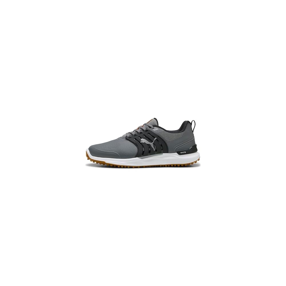 Slate Sky-puma Black-green Glare