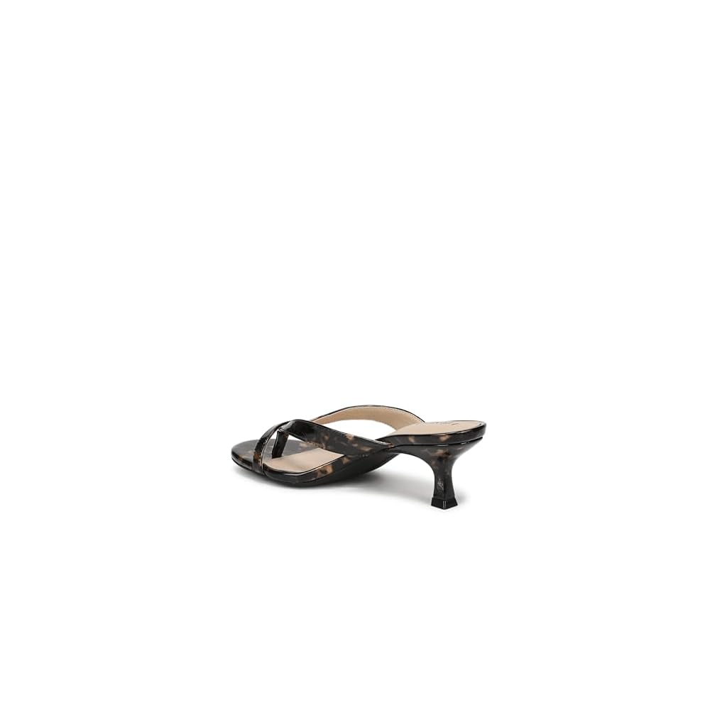 Black Tortoise Patent