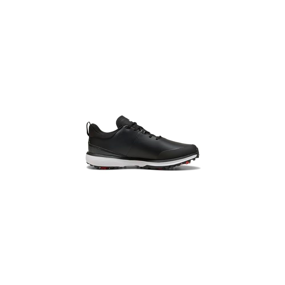 Black/Silver