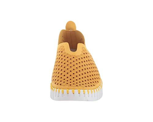 Golden Rod/White