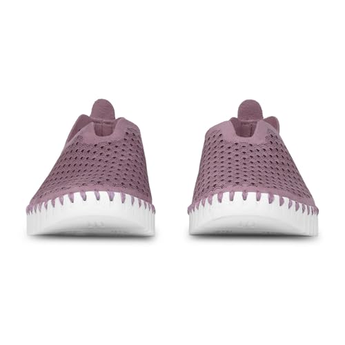 Mauve Shadows/White