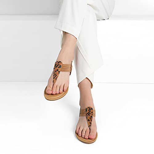 Leopard-n