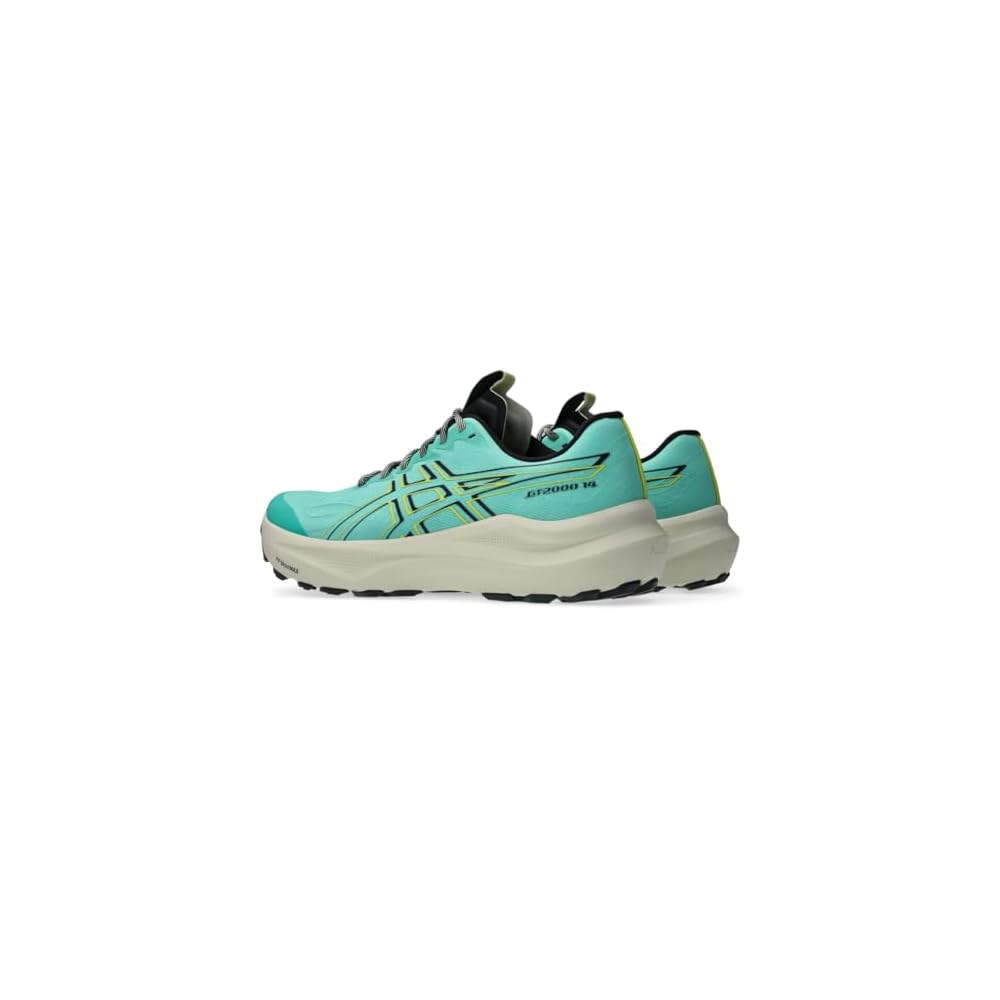 Aurora Green/Cacti
