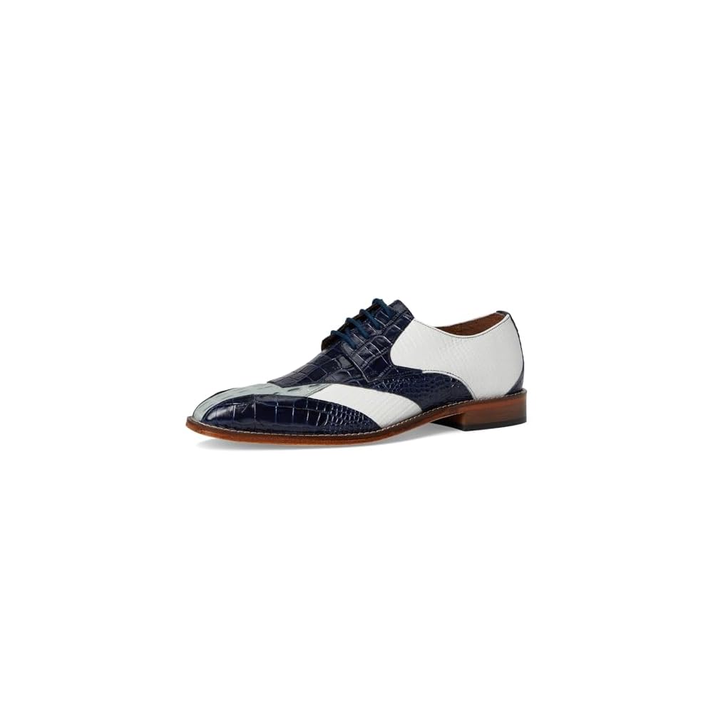 Dark Blue Multi