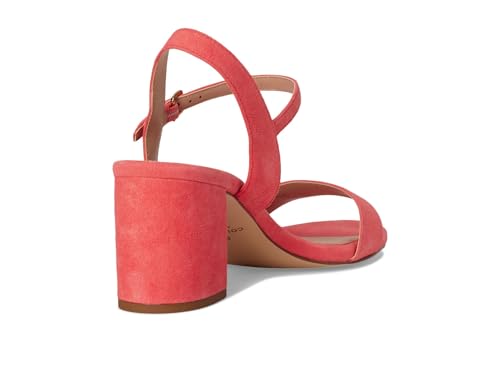 Dubarry Suede