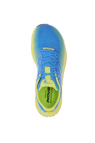 Blue/Yellow