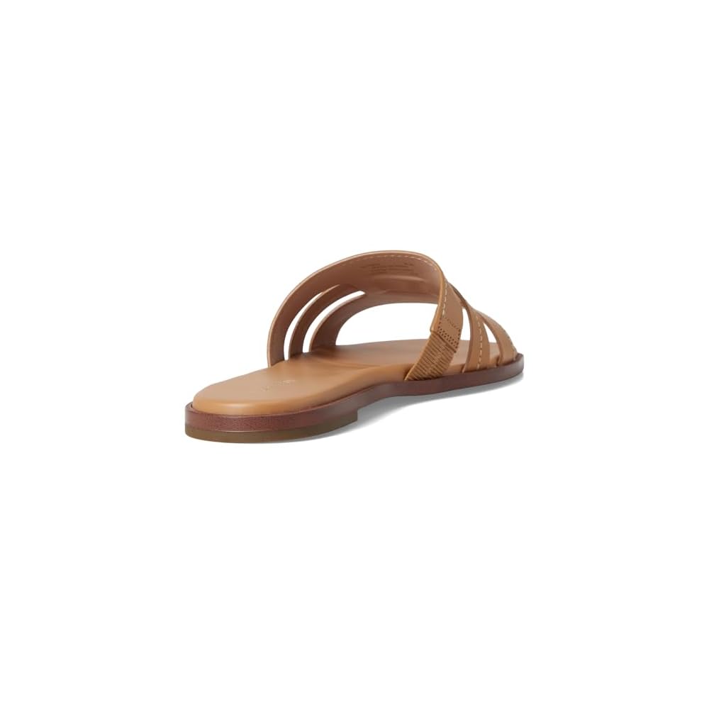 Biscuit Ltr