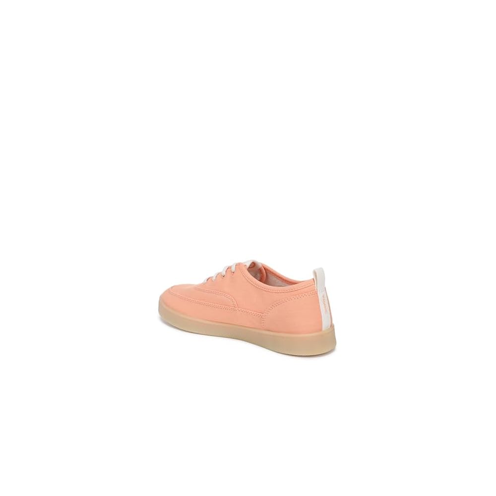 Shell Coral Canvas