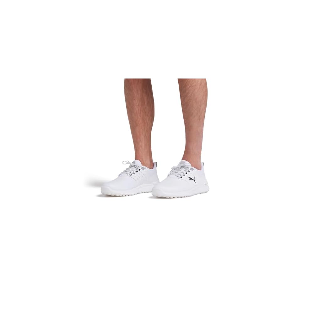 Puma White-puma Black-puma Silver