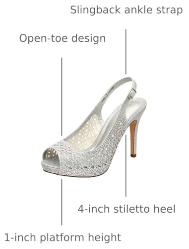 Silver/Glitter