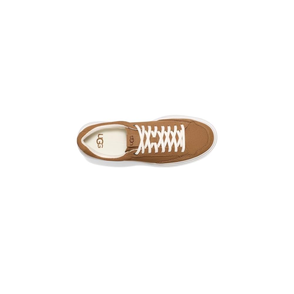 Chestnut