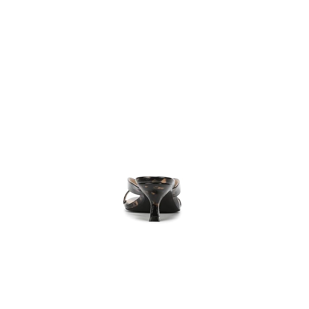 Black Tortoise Patent