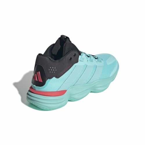 Flash Aqua/Flash Aqua/Semi Lucid Red