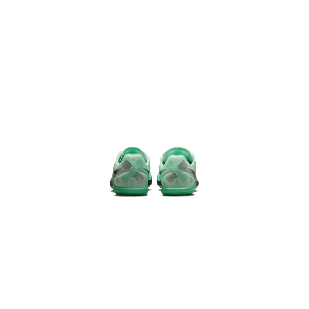 Barley Green/Metallic Silver-green Glow