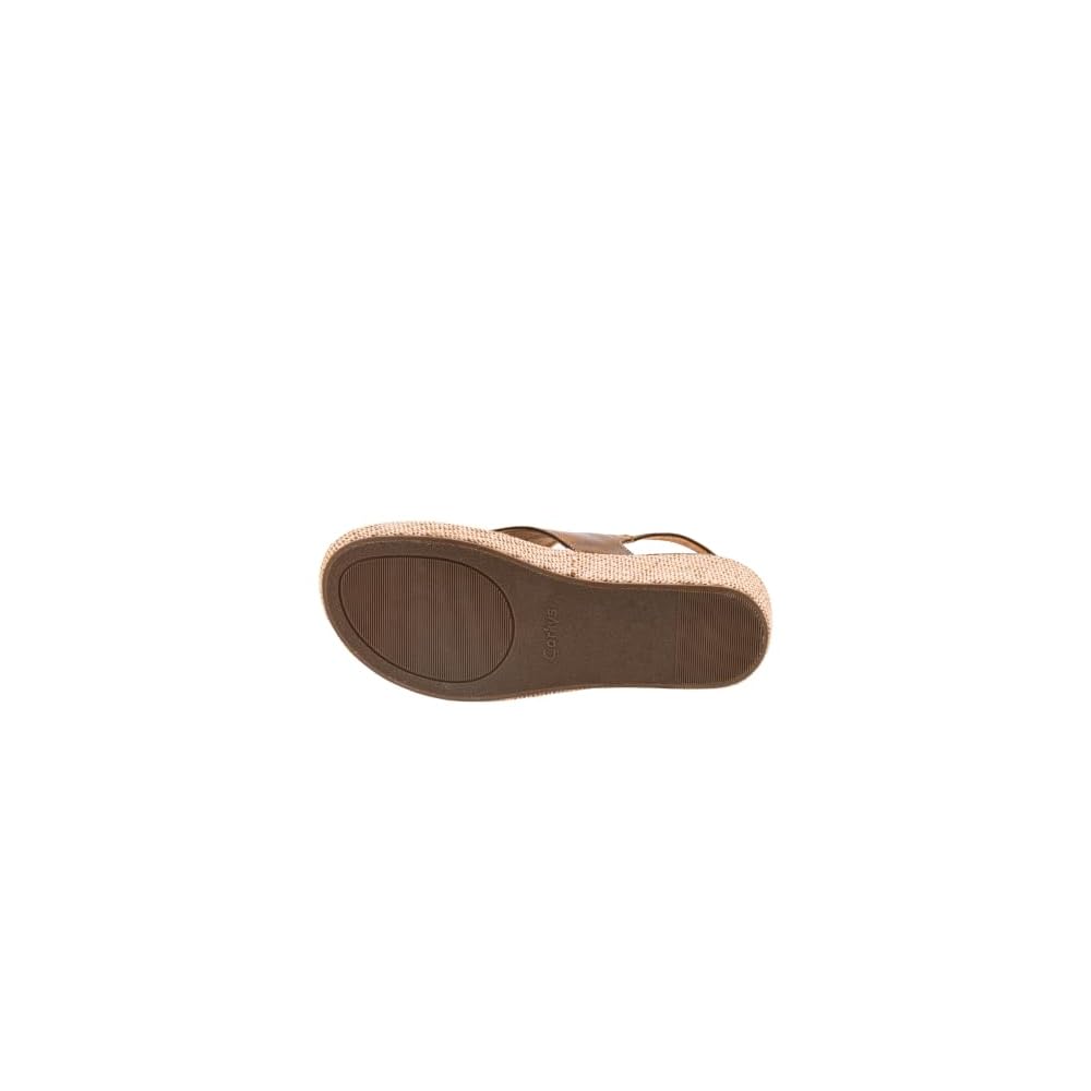 Chestnut 2